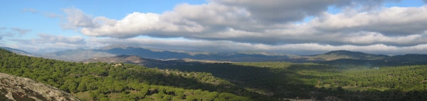 Dehesa Landscape