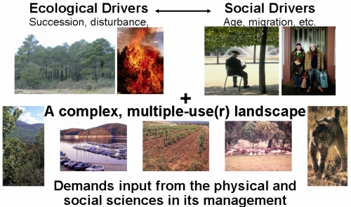 Drivers of Change